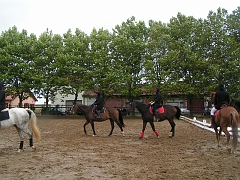 PO 2008 (29)